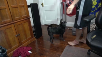 Sydaffect  06-09-2021 video slut